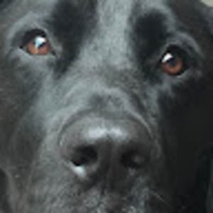 Meet your Posher, Marcia